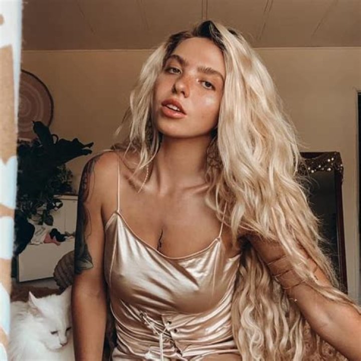 Unraveling the Mystery Behind Shaninblake Leaked: A Deep Dive